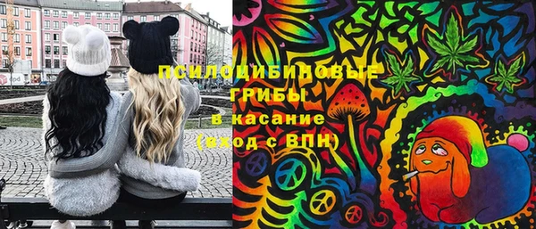 хмурый Абинск