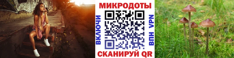 где продают наркотики Саратов Псилоцибиновые грибы мухоморы